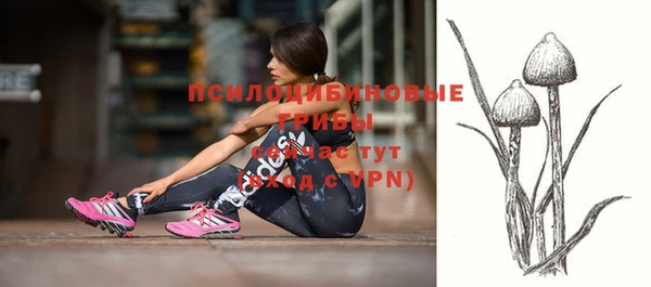 ешки Козельск