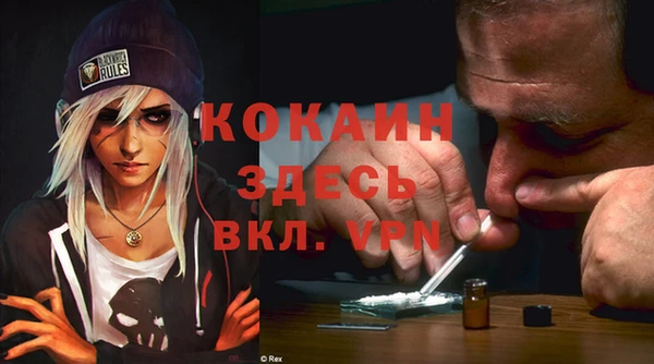 стафф Коряжма