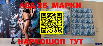 гашик Кандалакша