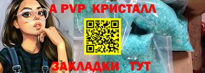 крисы Камышлов