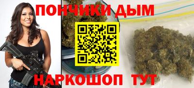крисы Камышлов