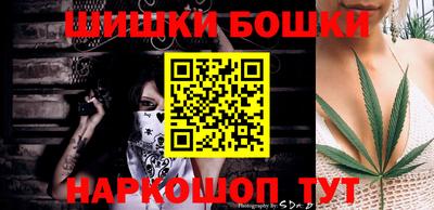 крисы Камышлов