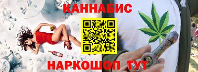 крисы Камышлов