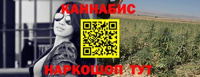 крисы Камышлов