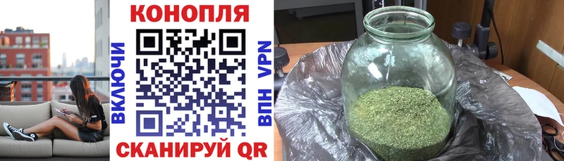 Конопля Amnesia  купить наркотик  блэк спрут рабочий сайт  Миасс 